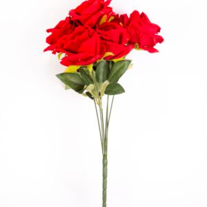 Rose Flower