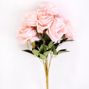 Rose Flower
