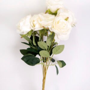 Rose flower
