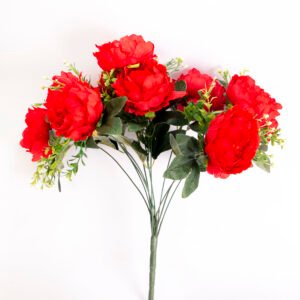 Rose Flower
